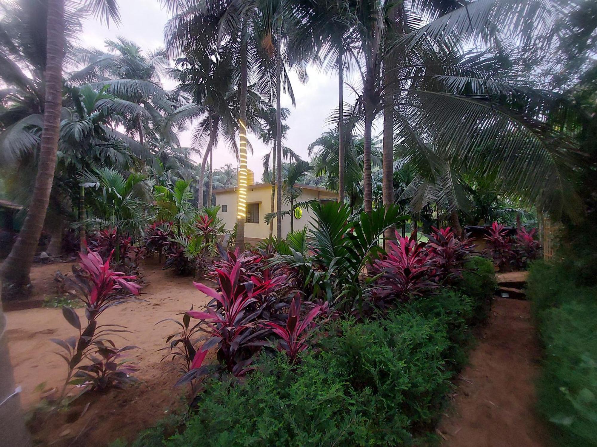Areca Nest Villa Gokarna  Exteriör bild