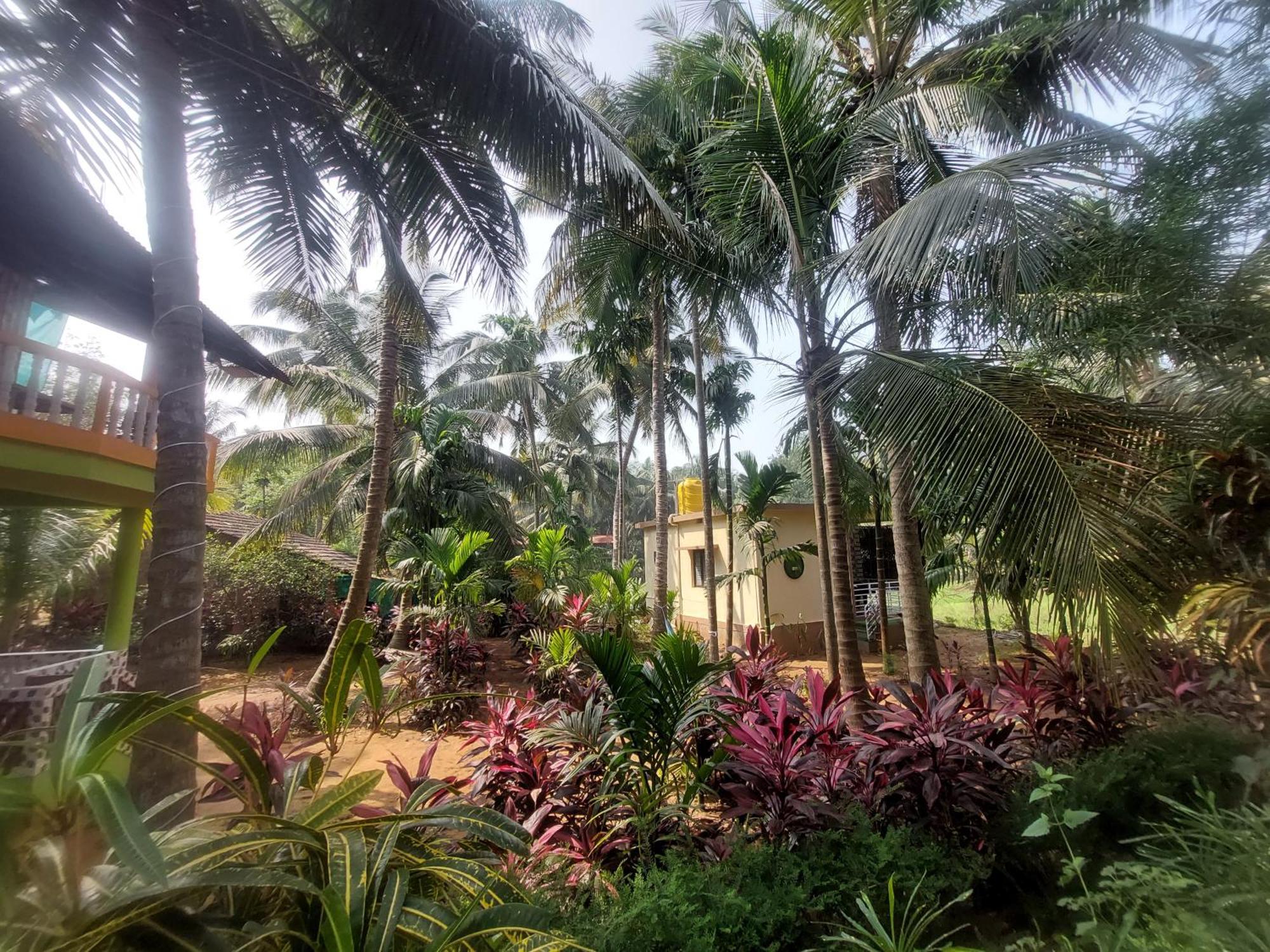 Areca Nest Villa Gokarna  Exteriör bild